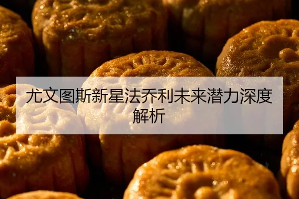 尤文图斯新星法乔利未来潜力深度解析（KSports）